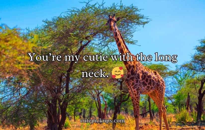 Giraffe Puns