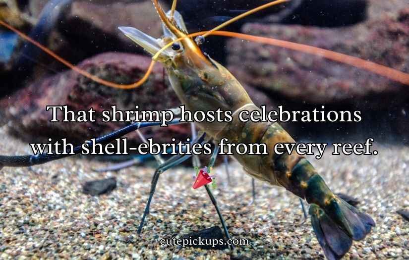 Shrimp Puns