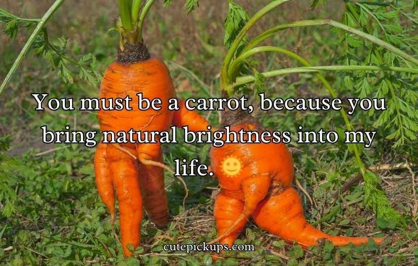 Carrot Puns