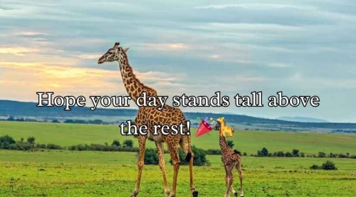 Giraffe Puns Giraffe Puns