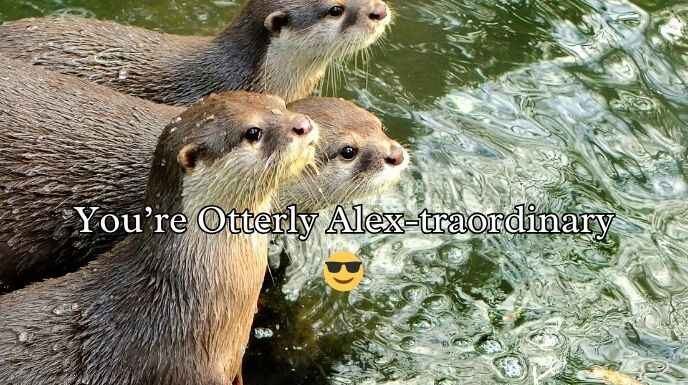 Otter Puns and Jokes Otter Puns and Jokes