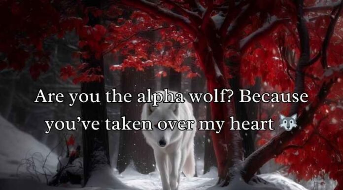 Wolf Pick Up Lines Wolf Pick Up Lines