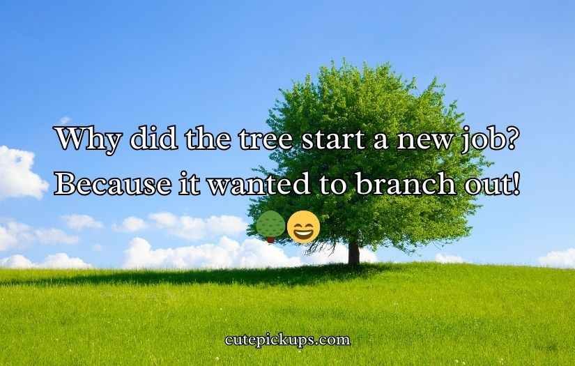 Tree Puns and Jokes