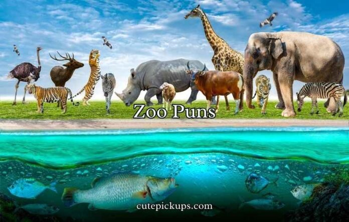 Zoo Puns