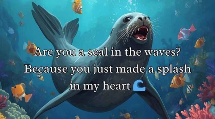 Seal Pickup Lines Seal Pickup Lines