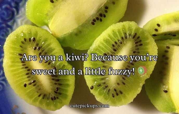 Kiwi Puns And Jokes