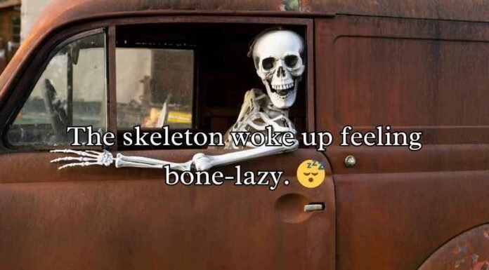 Skeleton Puns Skeleton Puns