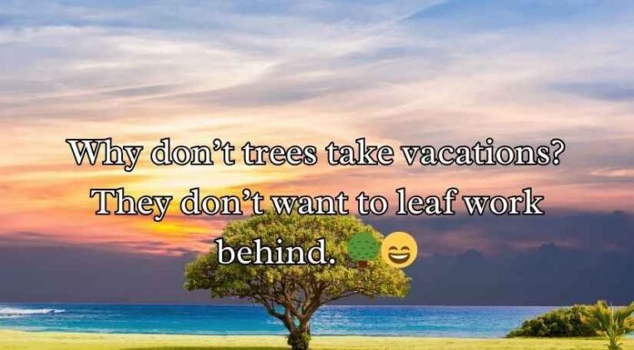 Tree Puns and Jokes Tree Puns and Jokes