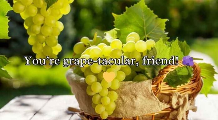 Grape Puns Grape Puns