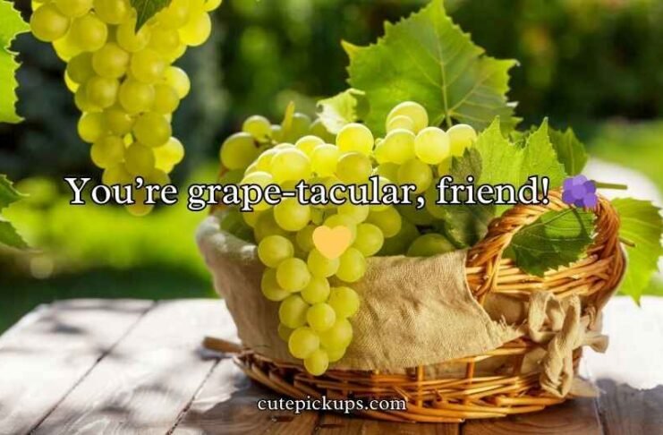 Grape Puns Grape Puns