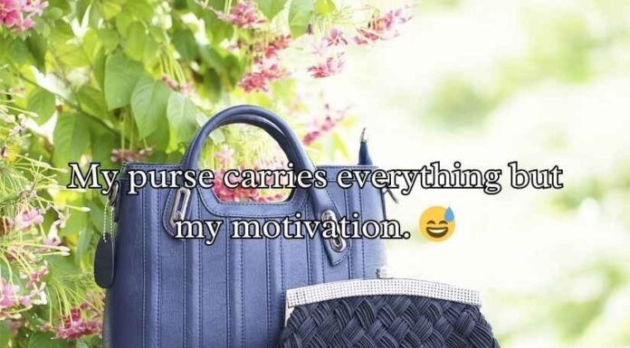 Purse Puns and Jokes Purse Puns and Jokes