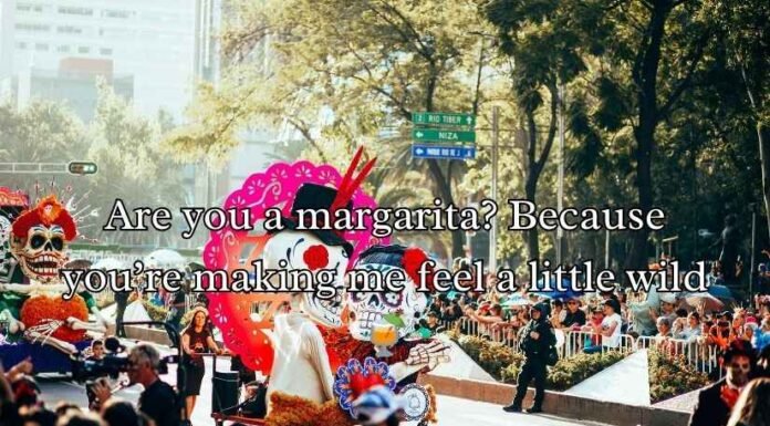 Cinco De Mayo Pick Up Lines Cinco De Mayo Pick Up Lines