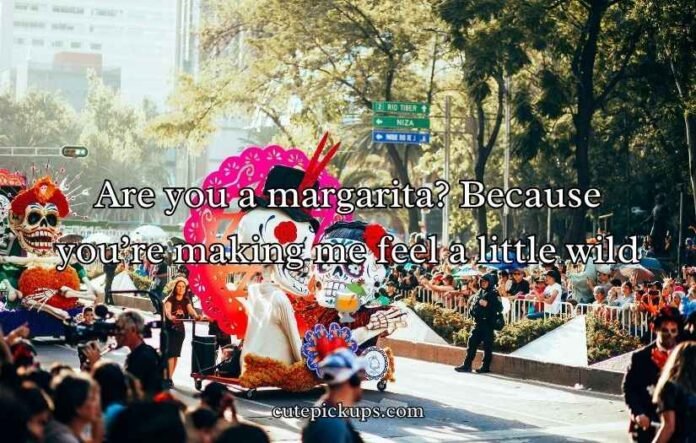 Cinco De Mayo Pick Up Lines