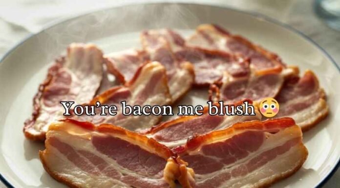 Bacon Puns Bacon Puns