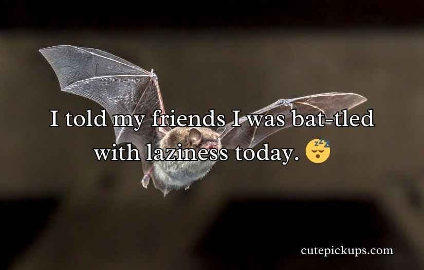 Bat Puns and Jokes