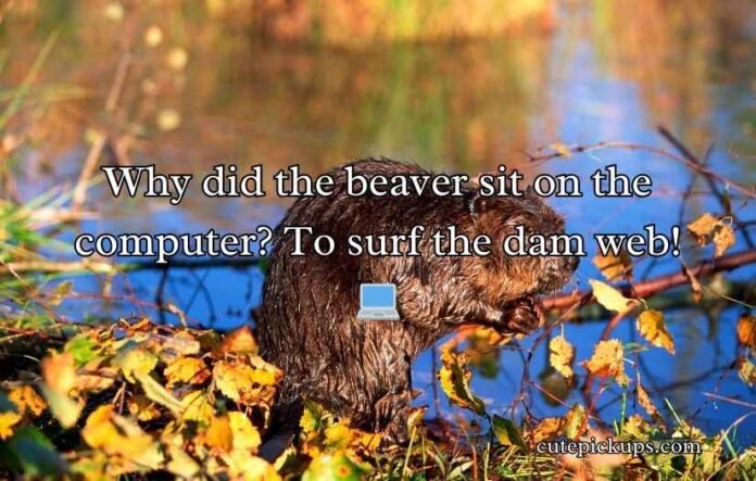 Beaver Puns