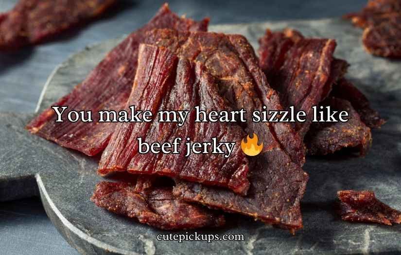 Beef Jerky Puns