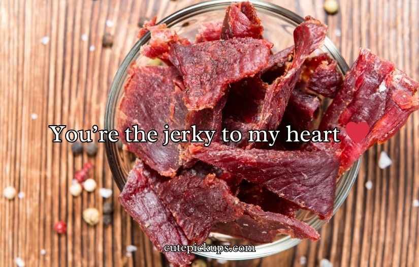 Beef Jerky Puns