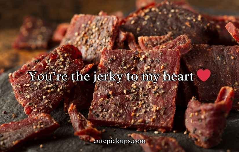 Beef Jerky Puns