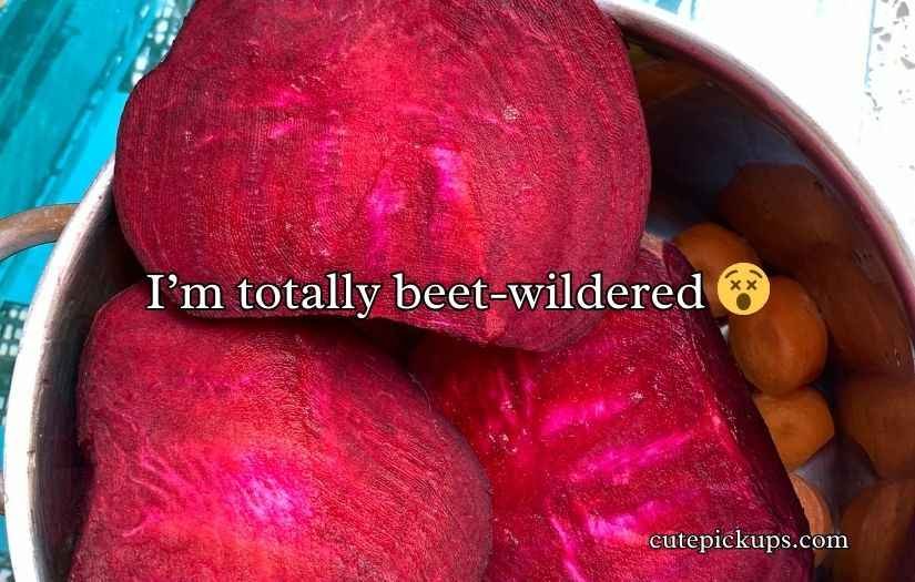 Beetroot Puns