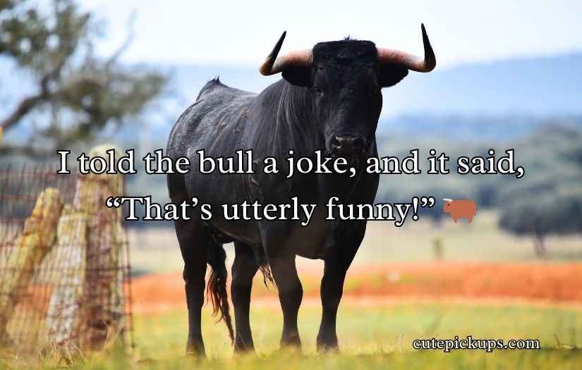 Bull Puns