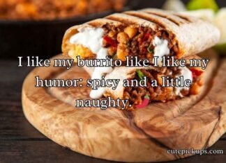 Burrito Puns and Jokes Burrito Puns and Jokes