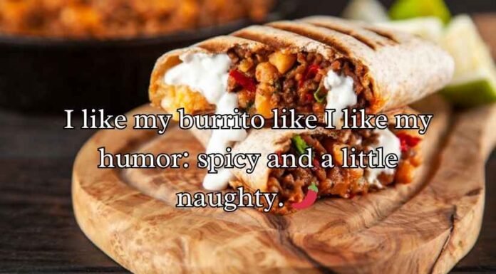 Burrito Puns and Jokes Burrito Puns and Jokes