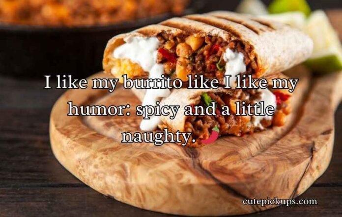 Burrito Puns and Jokes