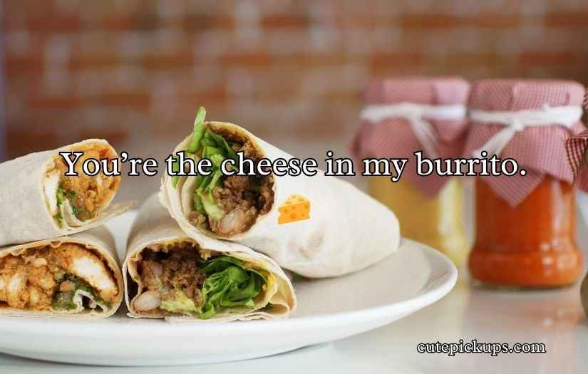 Burrito Puns and Jokes