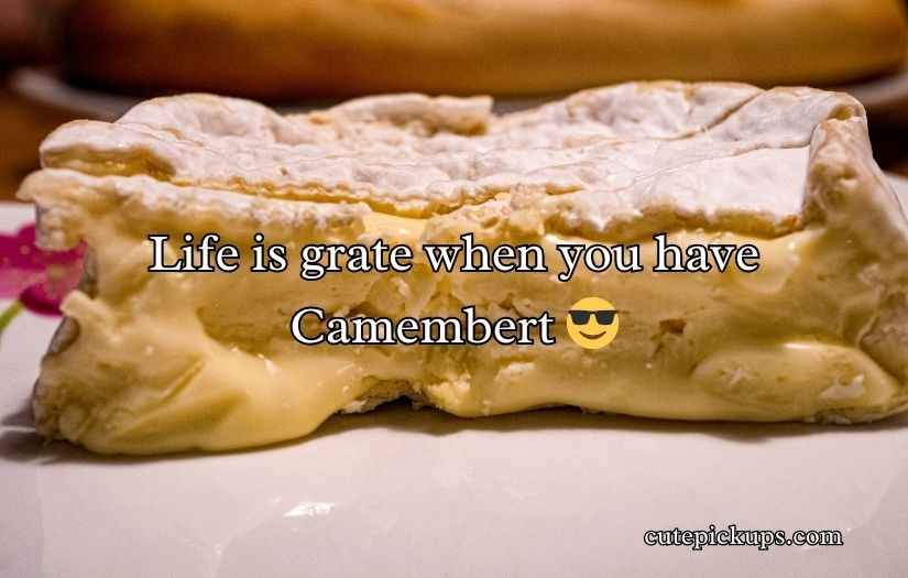 Camembert Puns