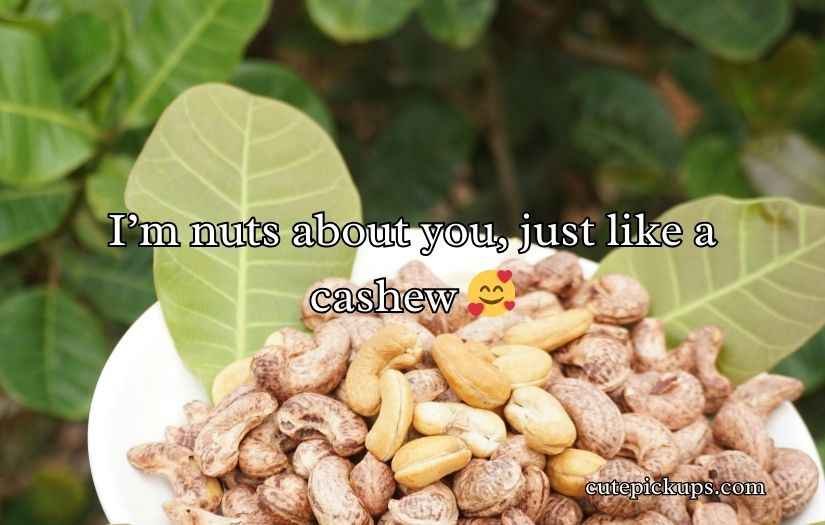 Cashew Puns