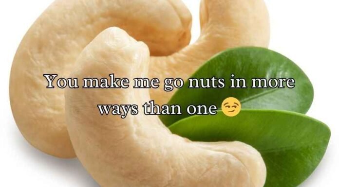 Cashew Puns Cashew Puns