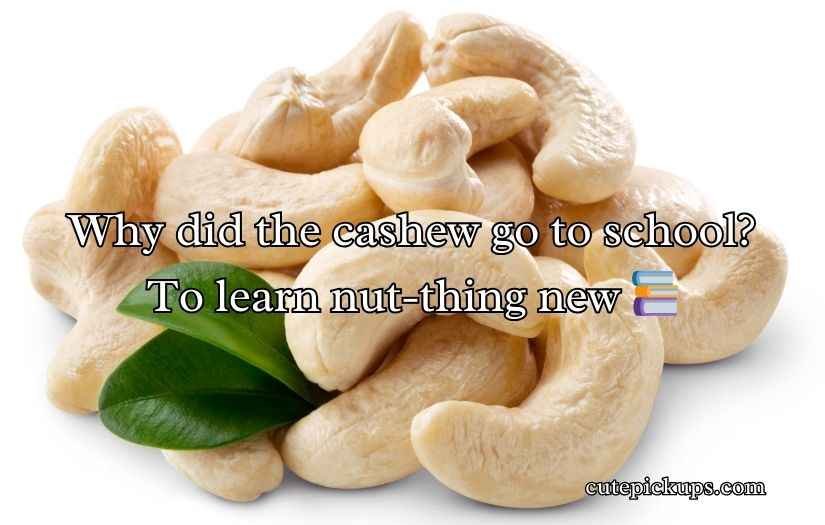 Cashew Puns
