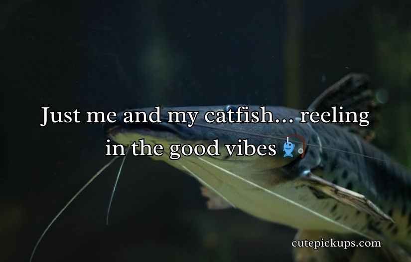 Catfish Puns and Jokes