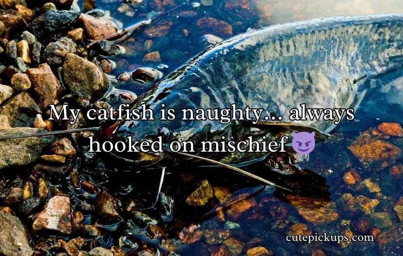 Catfish Puns and Jokes