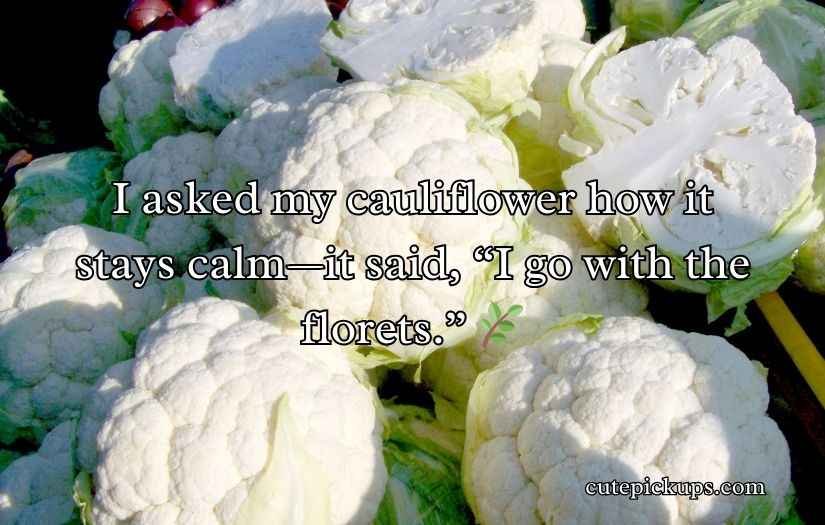 Cauliflower Puns and Jokes