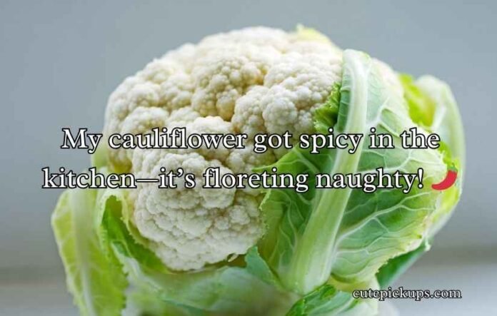 Cauliflower Puns and Jokes