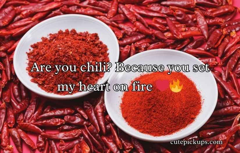 Chili Puns