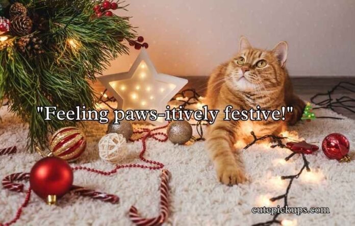 Christmas Cat Puns