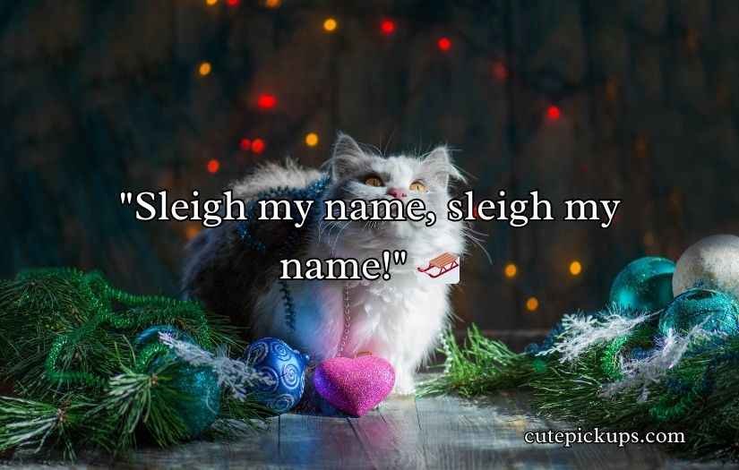 Christmas Cat Puns