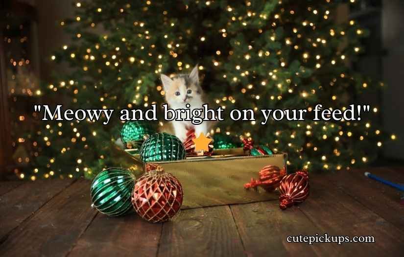 Christmas Cat Puns
