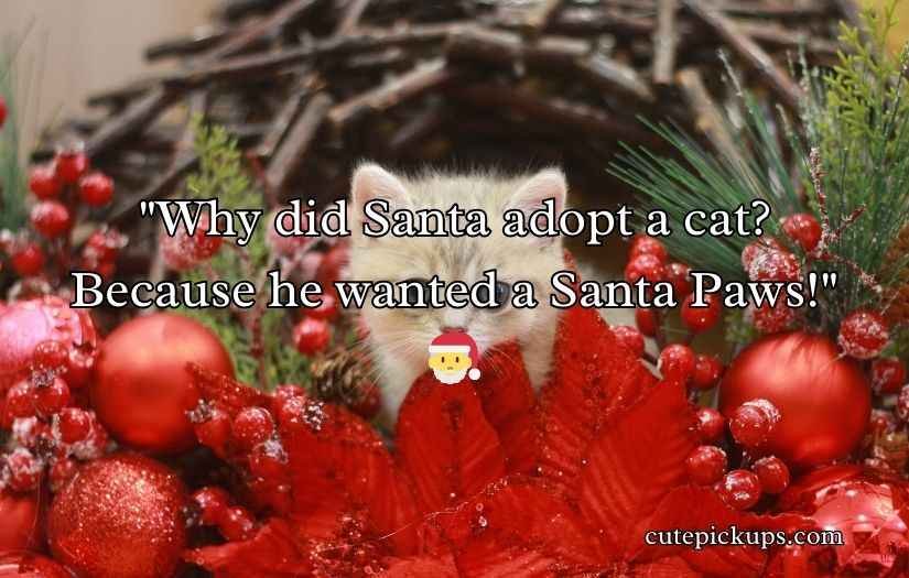 Christmas Cat Puns