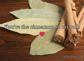 Cinnamon Roll Puns Cinnamon Roll Puns