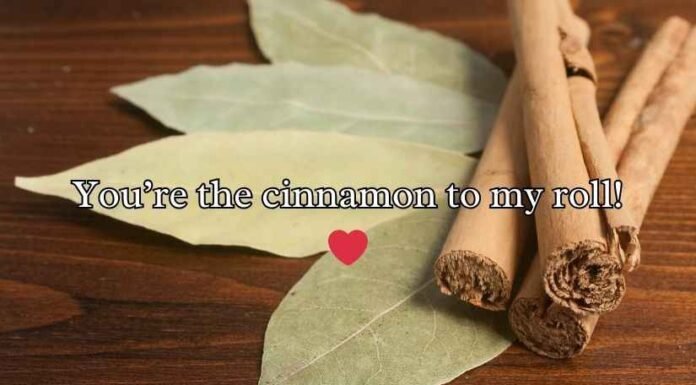 Cinnamon Roll Puns Cinnamon Roll Puns