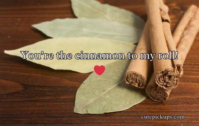 Cinnamon Roll Puns Cinnamon Roll Puns