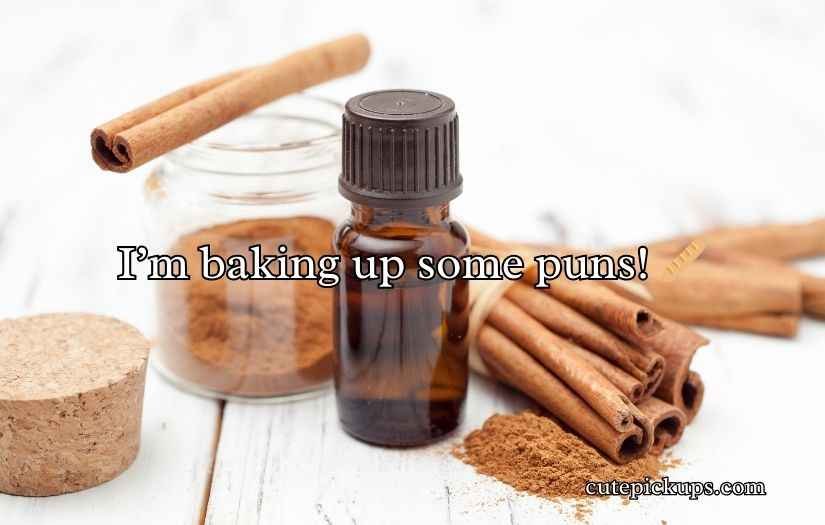 Cinnamon Roll Puns