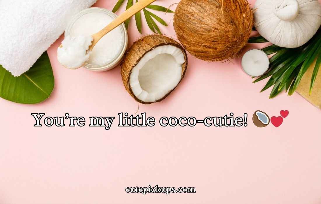 Coconut Puns And Jokes
