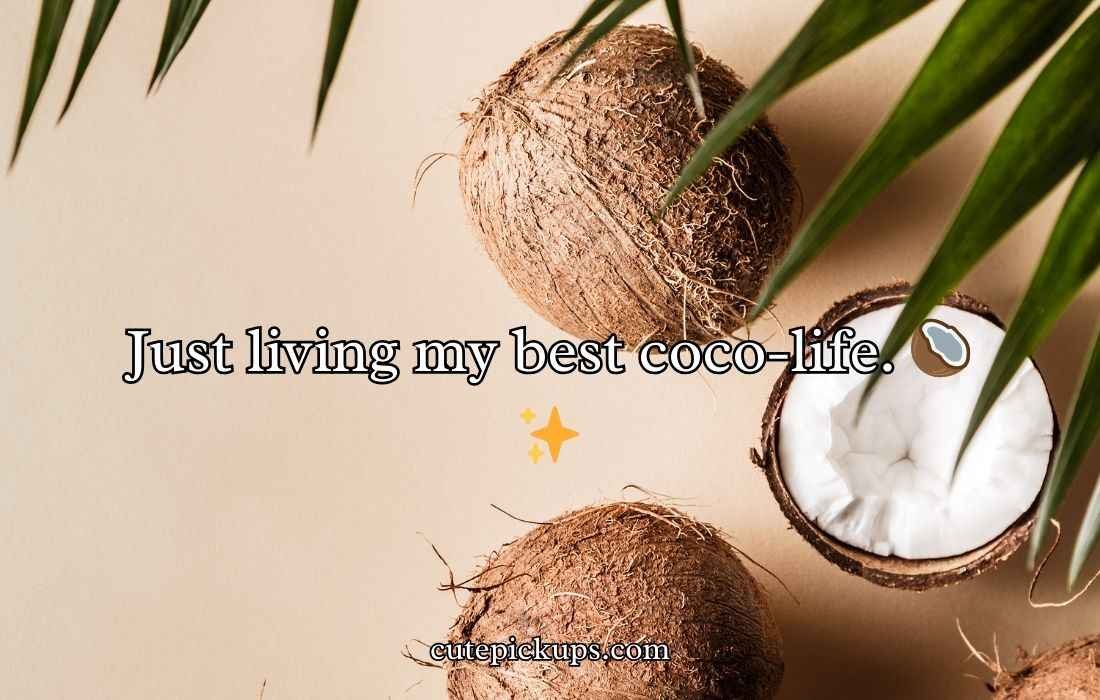 Coconut Puns And Jokes