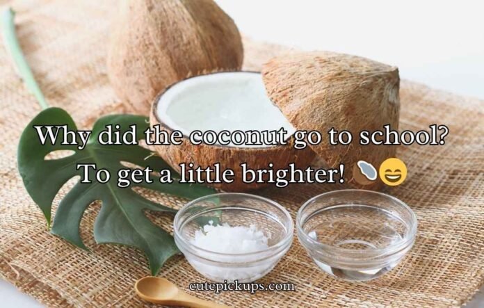 Coconut Puns And Jokes