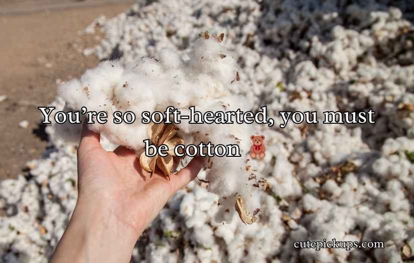 Cotton Puns